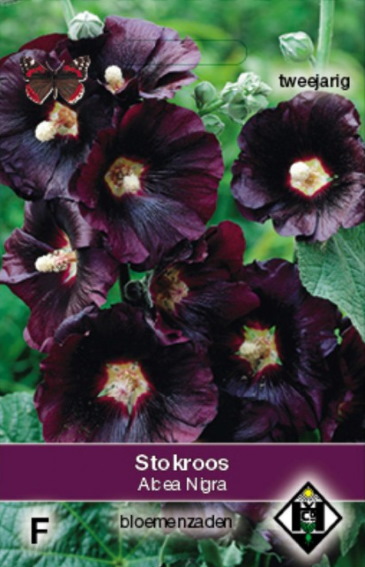 Stokroos Nigra (Alcea rosea) 100 zaden